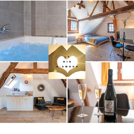Centre-Ville Le Nid D'Amour Jacuzzi Appartement Rouen Luaran gambar
