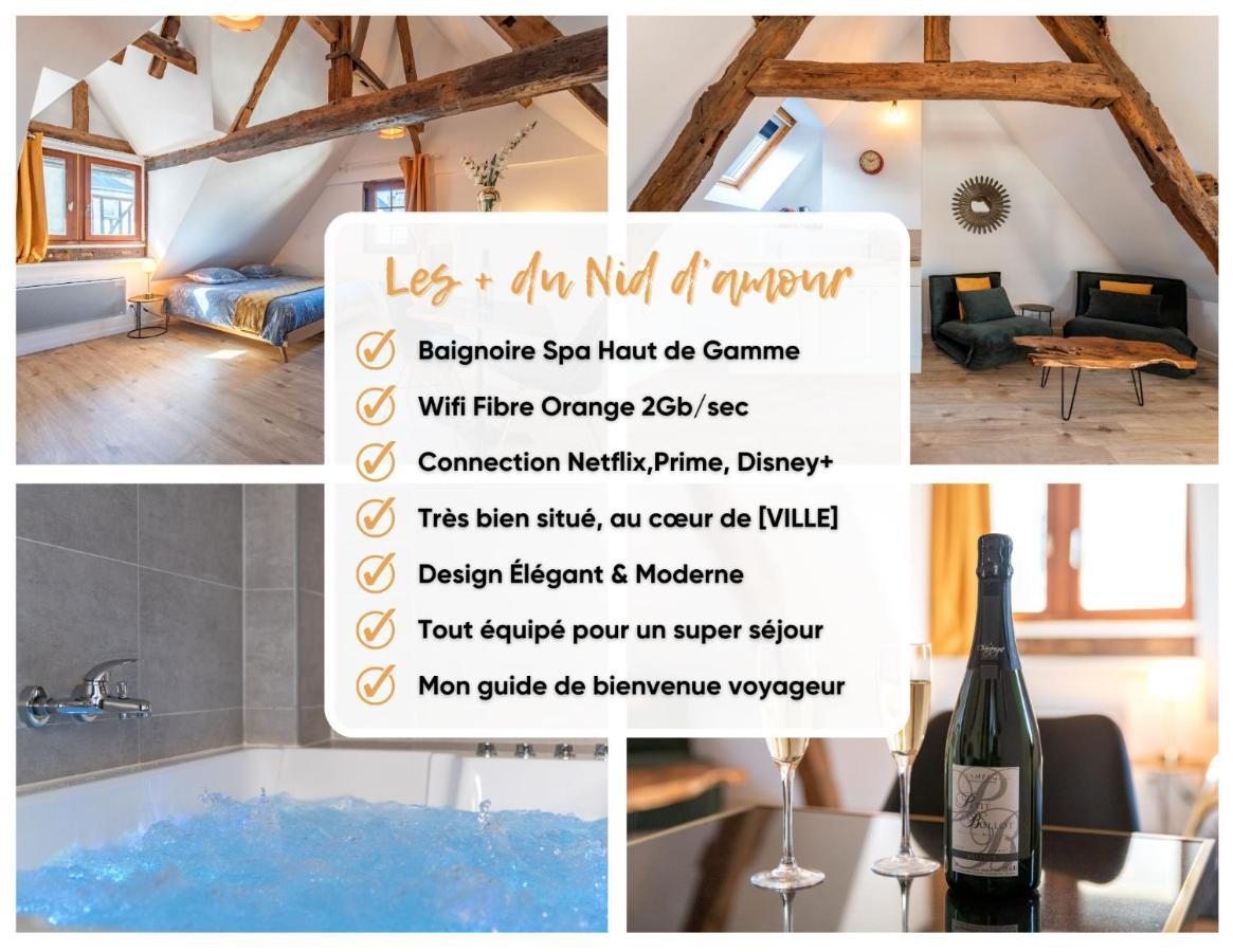 Centre-Ville Le Nid D'Amour Jacuzzi Appartement Rouen Luaran gambar